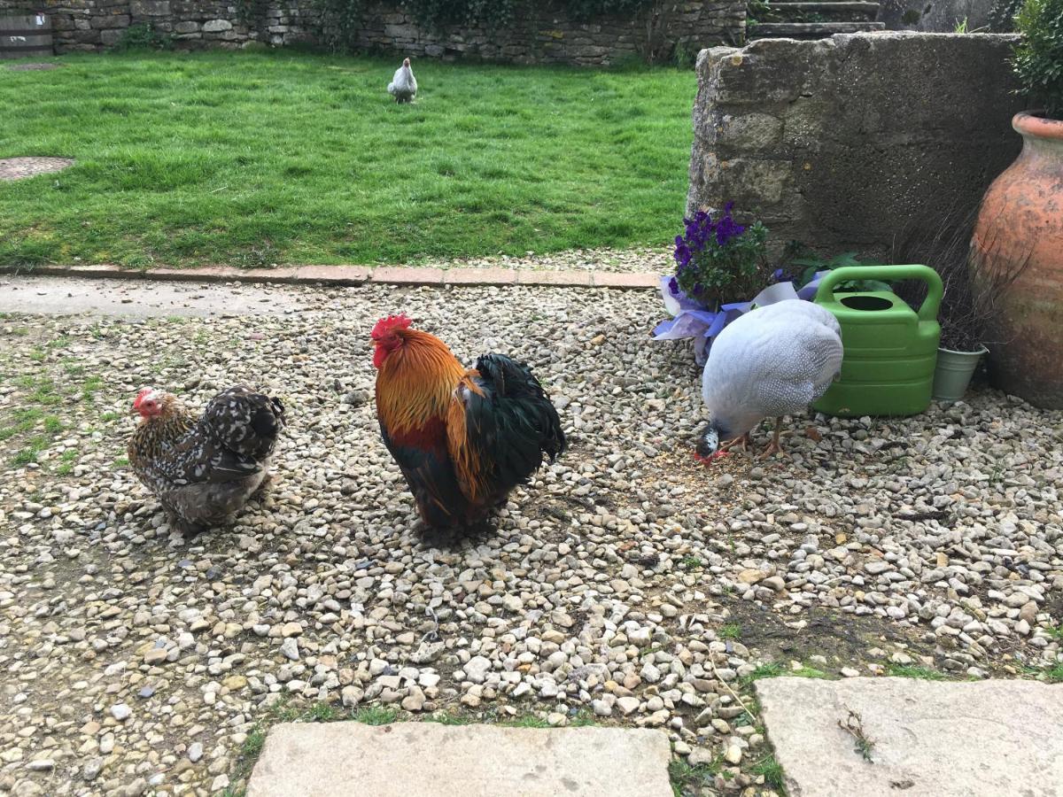 Woodcock Farm Διαμέρισμα Μπρίστολ Εξωτερικό φωτογραφία